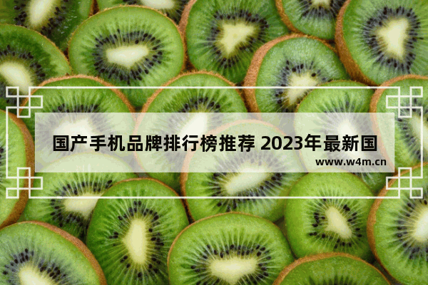 国产手机品牌排行榜推荐 2023年最新国产手机排行榜前十名