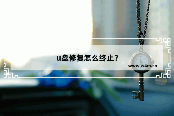 u盘修复怎么终止？