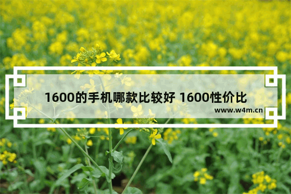 1600的手机哪款比较好 1600性价比高的手机推荐