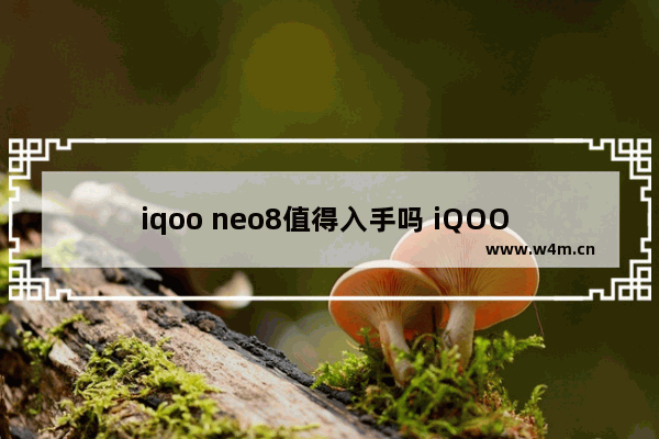 iqoo neo8值得入手吗 iQOO Neo8:优点与缺点分析