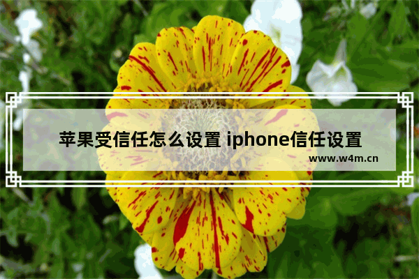 苹果受信任怎么设置 iphone信任设置详细教学