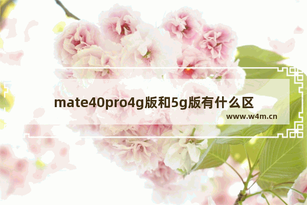 mate40pro4g版和5g版有什么区别 华为mate40pro4g和5g性能对比