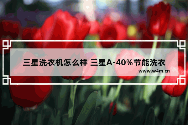 三星洗衣机怎么样 三星A-40%节能洗衣机性能详情