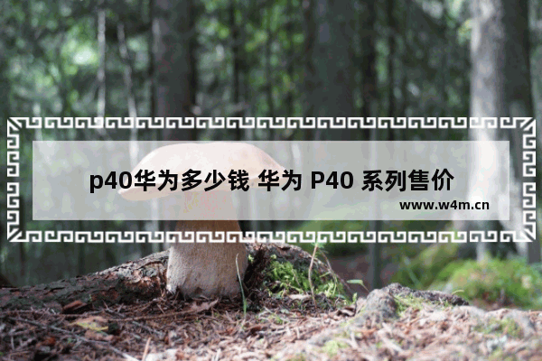 p40华为多少钱 华为 P40 系列售价详情