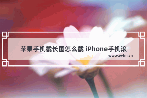 苹果手机截长图怎么截 iPhone手机滚动截长屏教程