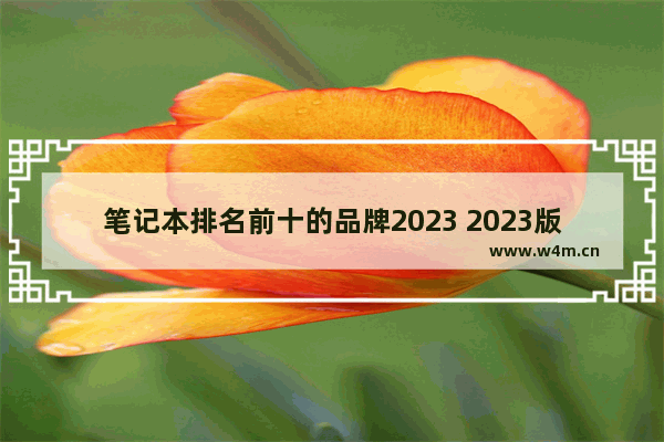 笔记本排名前十的品牌2023 2023版笔记本电脑排行榜推荐