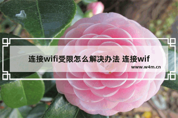 连接wifi受限怎么解决办法 连接wifi受限是怎么回事