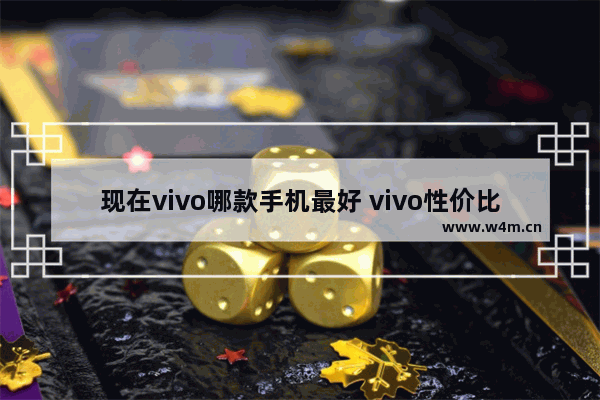 现在vivo哪款手机最好 vivo性价比最高的手机