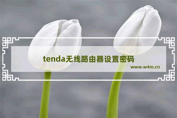 tenda无线路由器设置密码