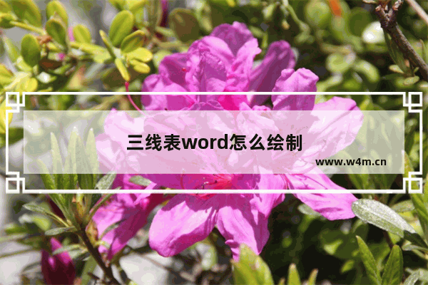 三线表word怎么绘制