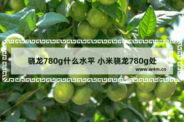 骁龙780g什么水平 小米骁龙780g处理器怎么样