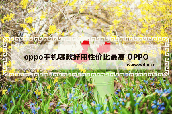 oppo手机哪款好用性价比最高 OPPO手机哪款口碑好