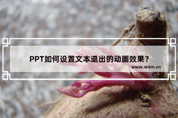 PPT如何设置文本退出的动画效果？