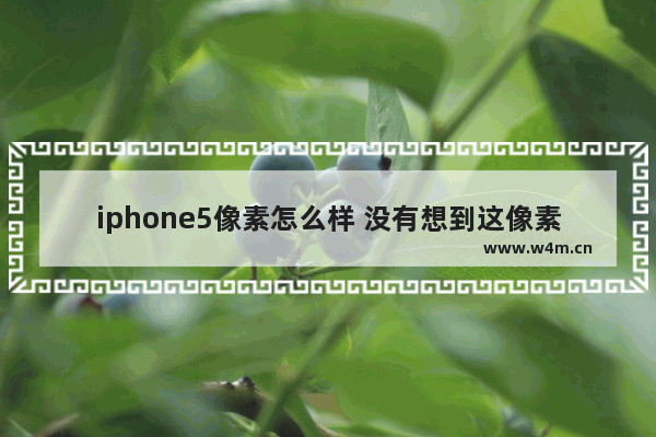 iphone5像素怎么样 没有想到这像素这么牛