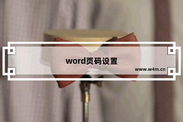 word页码设置