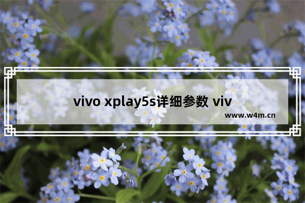 vivo xplay5s详细参数 vivo Xplay5S体验