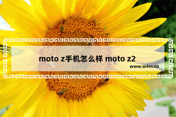 moto z手机怎么样 moto z2 play评测