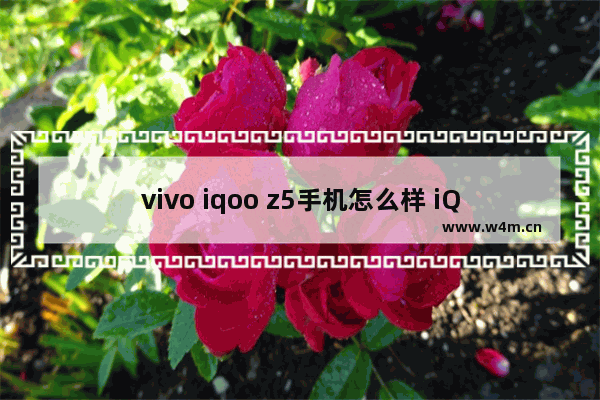 vivo iqoo z5手机怎么样 iQOO Z5手机评测体验