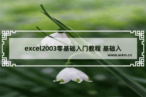 excel2003零基础入门教程 基础入门Excel表格编辑