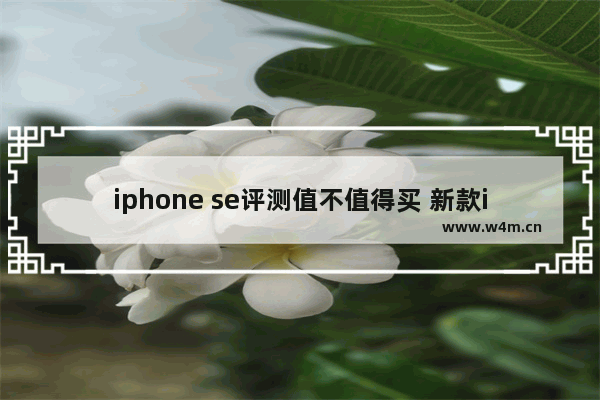 iphone se评测值不值得买 新款iPhone SE的性能表现