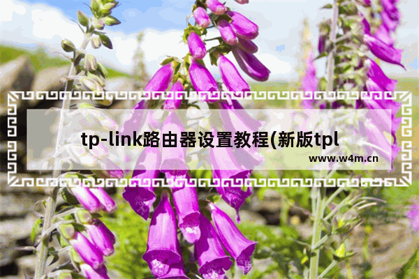 tp-link路由器设置教程(新版tplink无线路由器怎么设置)