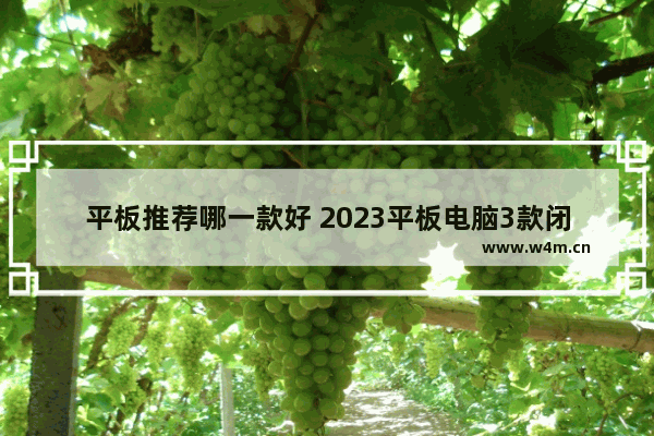 平板推荐哪一款好 2023平板电脑3款闭眼入