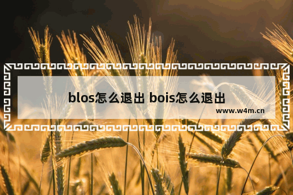 blos怎么退出 bois怎么退出