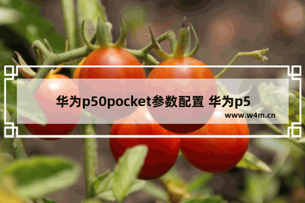 华为p50pocket参数配置 华为p50pocket全面测评