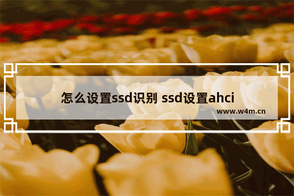 怎么设置ssd识别 ssd设置ahci