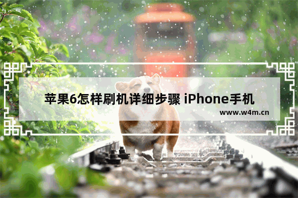 苹果6怎样刷机详细步骤 iPhone手机刷机图文教程