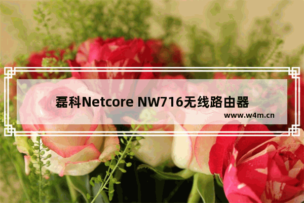 磊科Netcore NW716无线路由器如何设置的图解教程