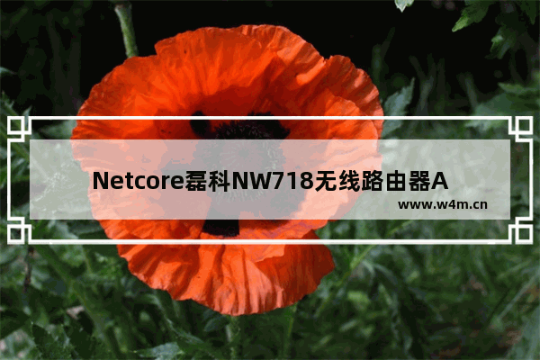 Netcore磊科NW718无线路由器ADSL设置上网方法