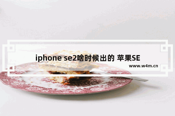 iphone se2啥时候出的 苹果SE2上市时间