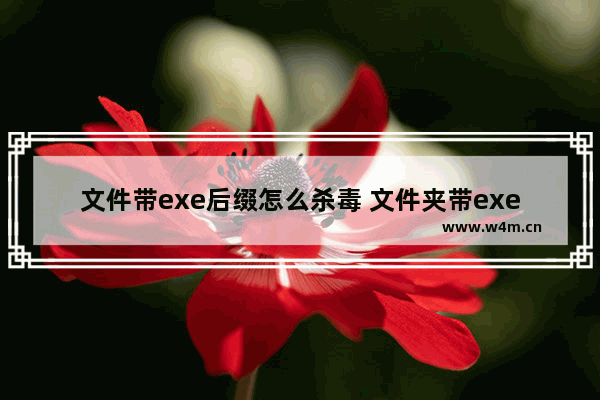 文件带exe后缀怎么杀毒 文件夹带exe后缀是什么病毒