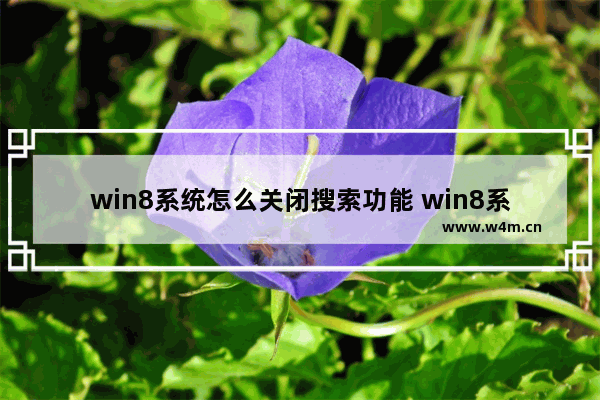 win8系统怎么关闭搜索功能 win8系统怎么关闭搜索功能快捷键