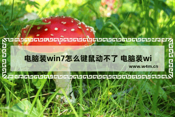 电脑装win7怎么键鼠动不了 电脑装win7后鼠标键盘失灵