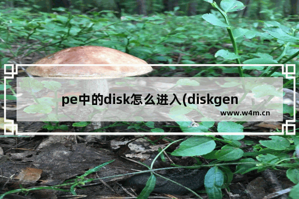 pe中的disk怎么进入(diskgenius进入pe)