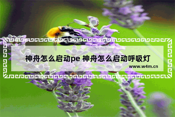 神舟怎么启动pe 神舟怎么启动呼吸灯