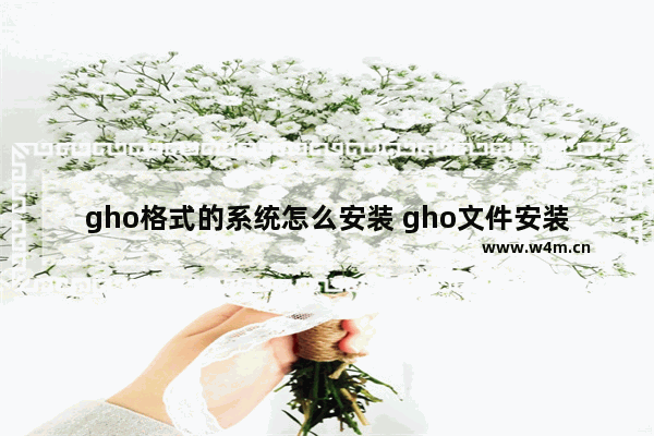 gho格式的系统怎么安装 gho文件安装系统