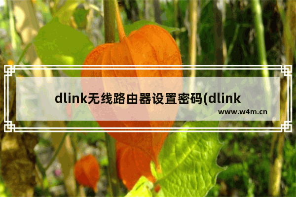 dlink无线路由器设置密码(dlink路由器怎么设置密码)