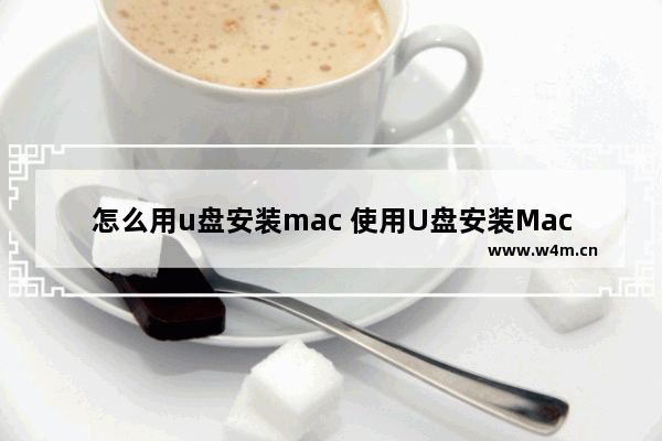 怎么用u盘安装mac 使用U盘安装Mac系统