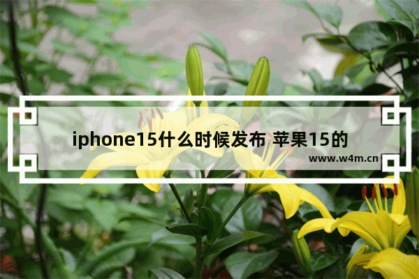 iphone15什么时候发布 苹果15的上市时间