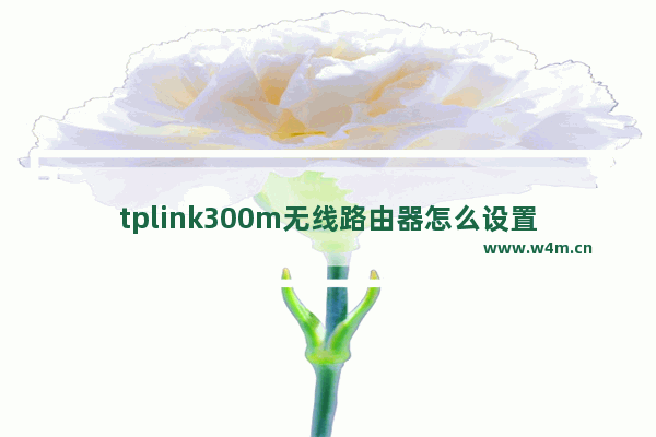 tplink300m无线路由器怎么设置