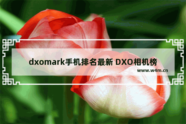 dxomark手机排名最新 DXO相机榜单更新