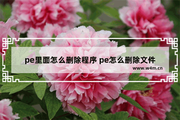 pe里面怎么删除程序 pe怎么删除文件