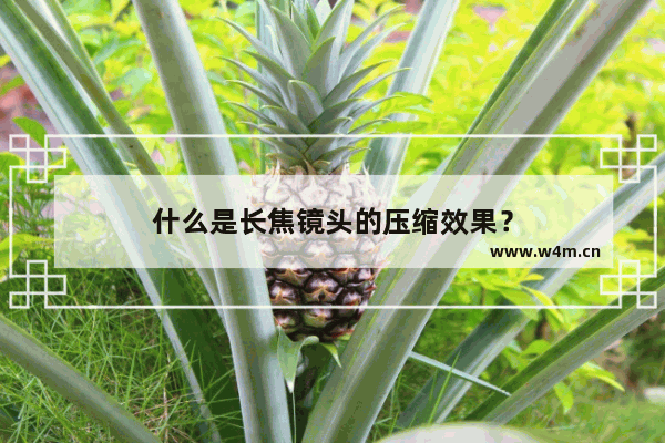 什么是长焦镜头的压缩效果？