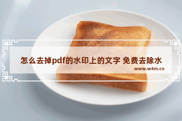 怎么去掉pdf的水印上的文字 免费去除水印的软件推荐