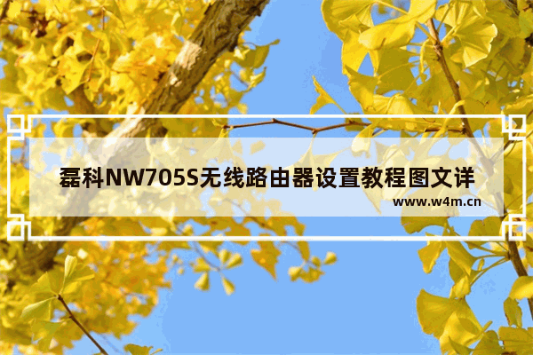 磊科NW705S无线路由器设置教程图文详细讲解