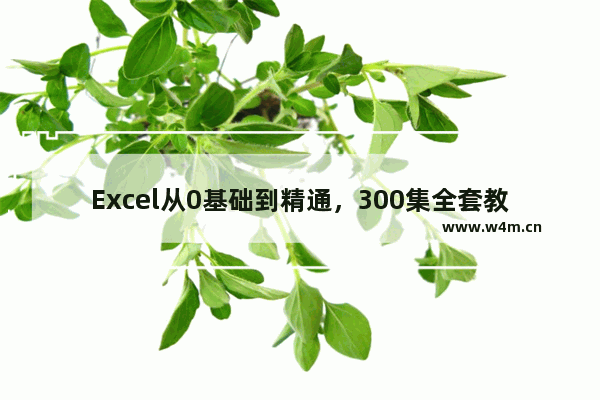 Excel从0基础到精通，300集全套教程，视频+模板+笔记