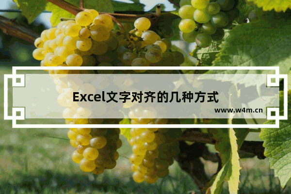 Excel文字对齐的几种方式